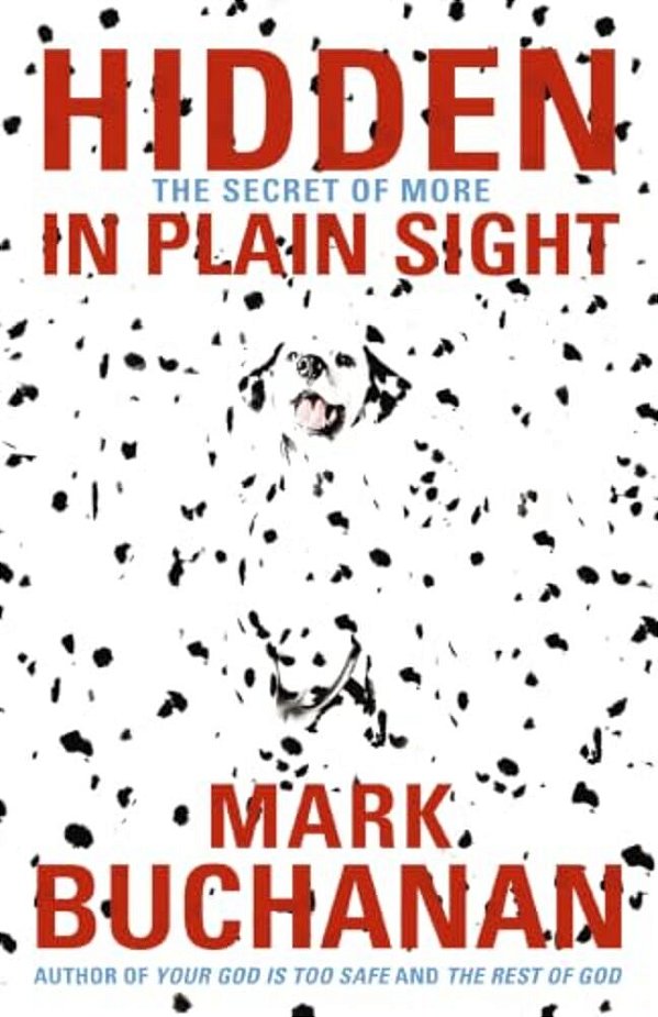 The Hidden In Plain Sight: The Secret Of More-..