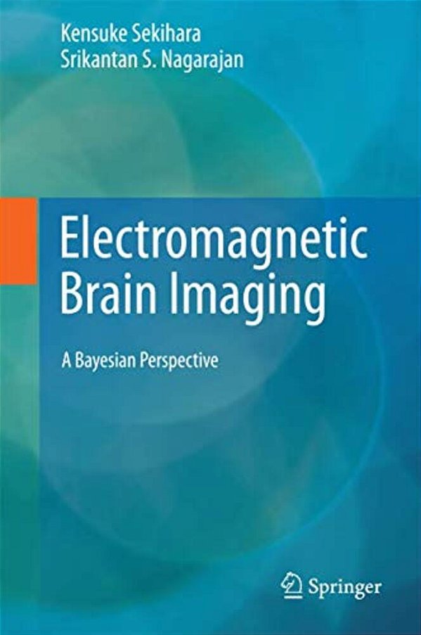 Electromagnetic Brain Imaging: A Bayesian Perspective-..