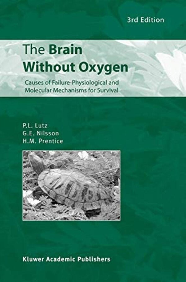 The Brain Without Oxygen: Causes Of Failure-Physiological And Molecular Mechanisms For Survival-..