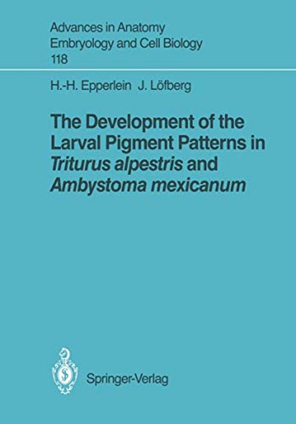 The Development Of The Larval Pigment Patterns In Triturus Alpestris And Ambystoma Mexicanum-..