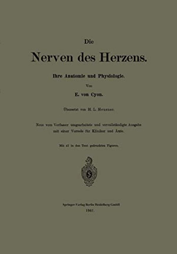 Die Nerven Des Herzens: Ihre Anatomie Und Physiologie-..
