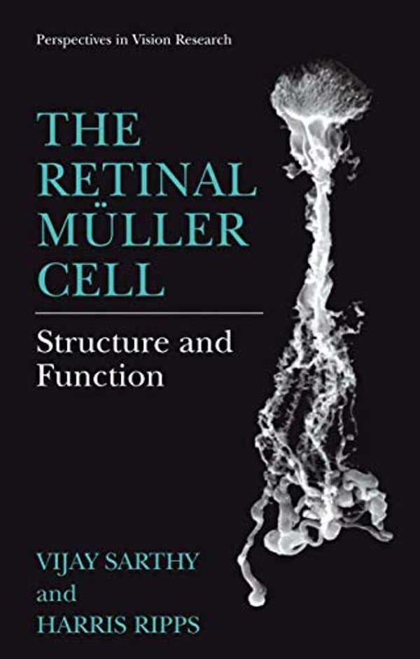The Retinal Müller Cell: Structure And Function-..