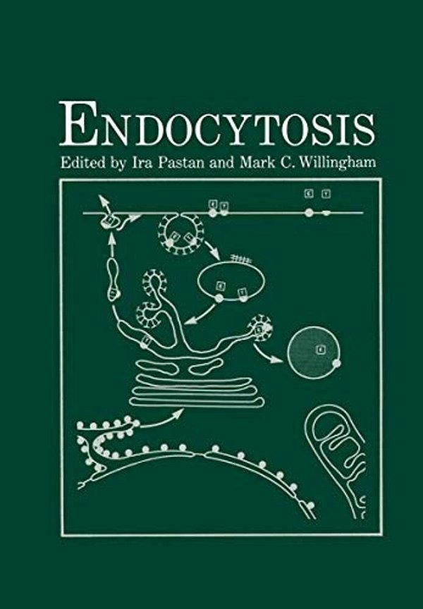 Endocytosis-..