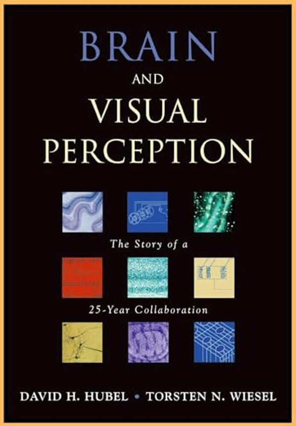 Brain And Visual Perception: The Story Of A 25-Year Collaboration-..