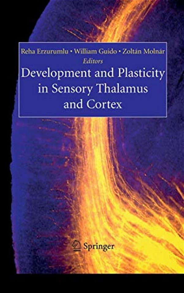 Development And Plasticity In Sensory Thalamus And Cortex-..
