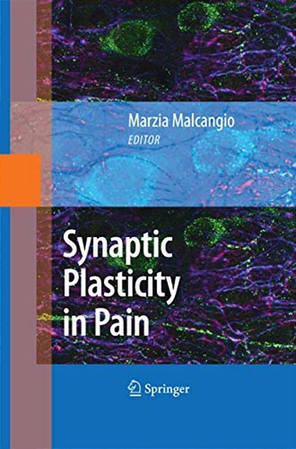 Synaptic Plasticity In Pain-..