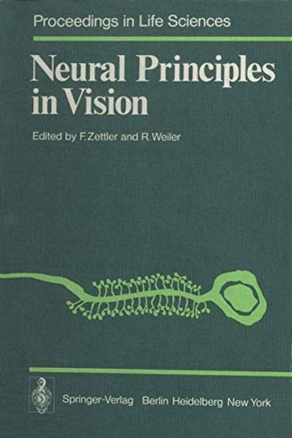 Neural Principles In Vision-..