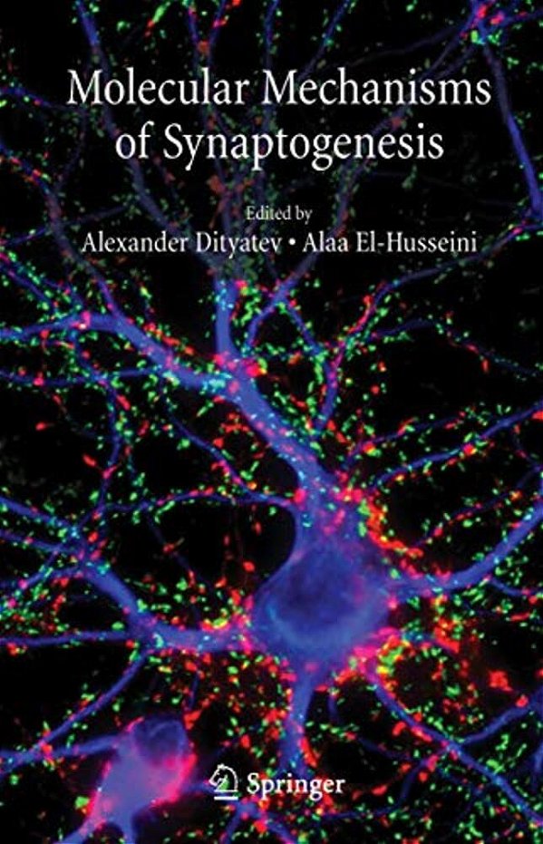 Molecular Mechanisms Of Synaptogenesis-..