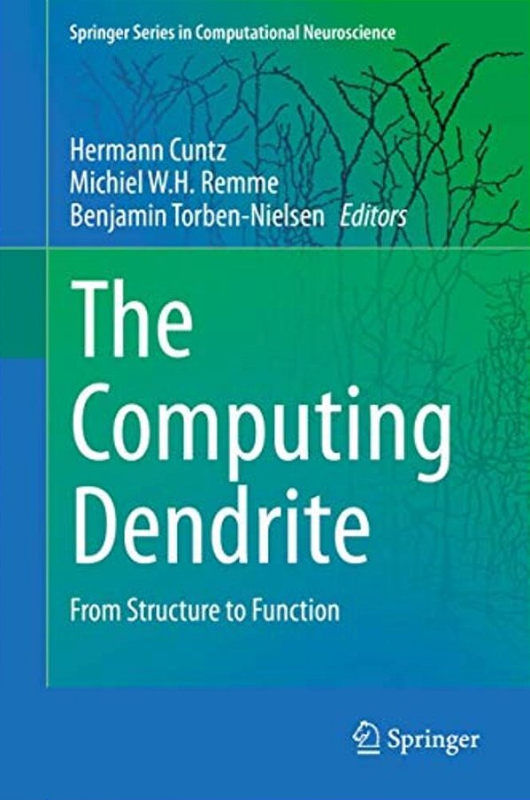 The Computing Dendrite: From Structure To Function-..
