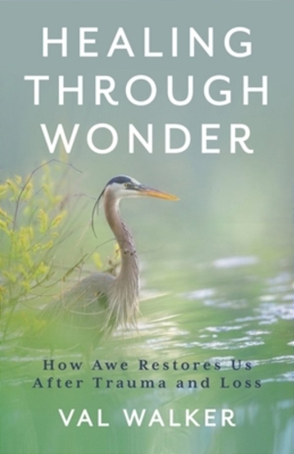 Healing Through Wonder: How Awe Restores US After Trauma And Loss-..