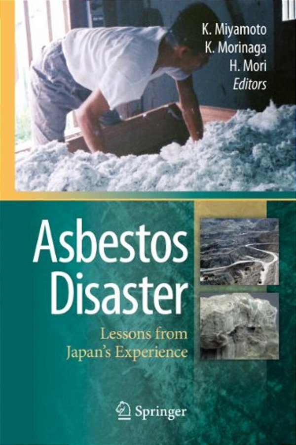 Asbestos Disaster: Lessons From Japan's Experience-..