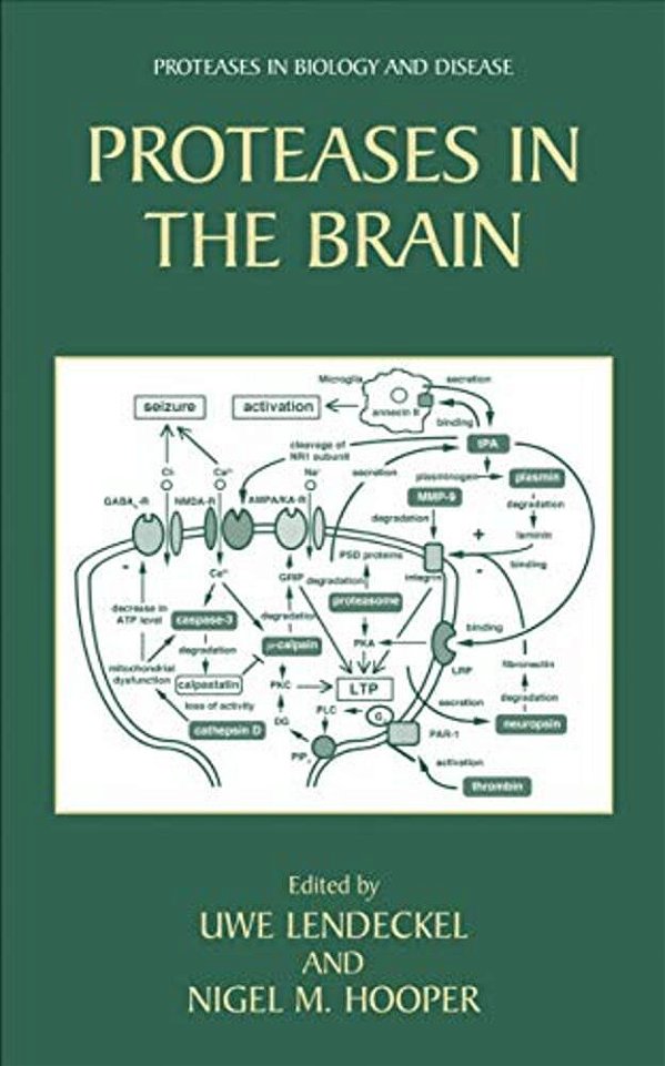 Proteases In The Brain-..