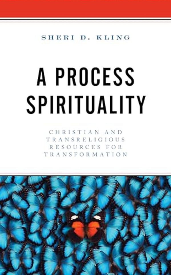 Process Spirituality: Christian And Transreligious Resources For Transformation-..