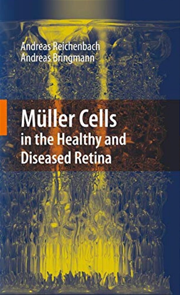 Müller Cells In The Healthy And Diseased Retina-..