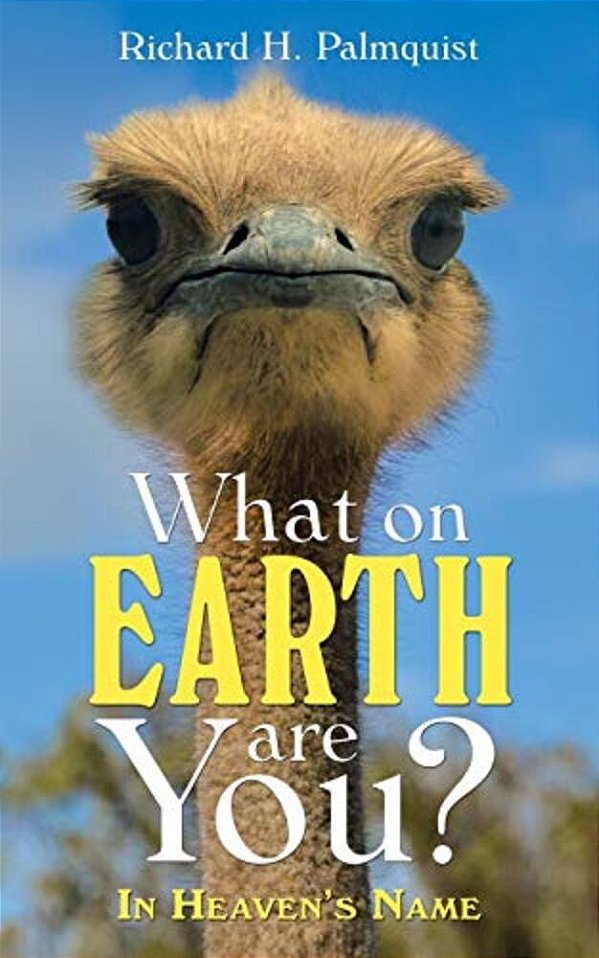 What On Earth Are You?: In Heaven's Name-..