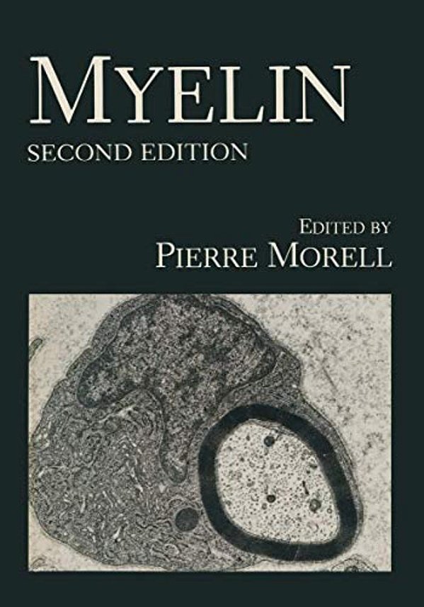 Myelin-..