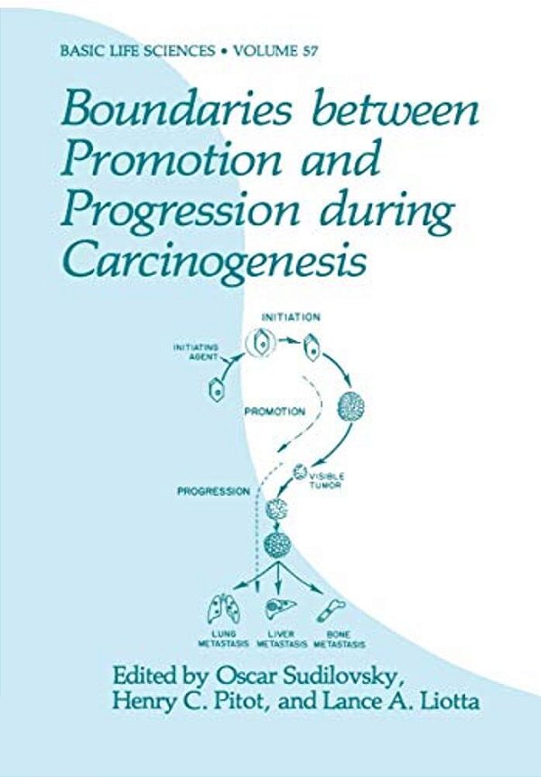 Boundaries Between Promotion And Progression During Carcinogenesis-..