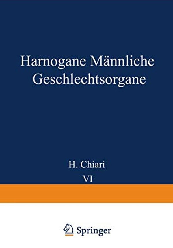 Harnorgane Männliche Geschlechtsorgane-..