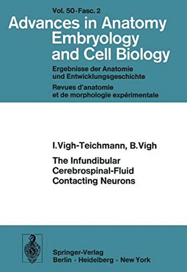 The Infundibular Cerebrospinal-Fluid Contacting Neurons-..