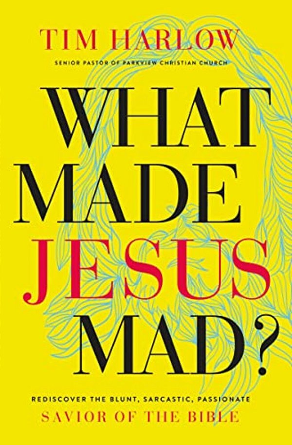What Made Jesus Mad?*: Rediscover The Blunt, Sarcastic, Passionate Savior Of The Bible-..
