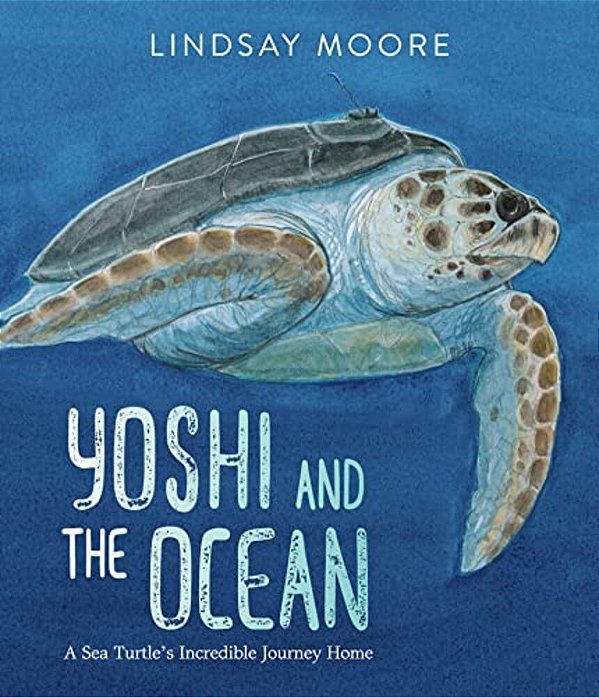Yoshi And The Ocean: A Sea Turtle's Incredible Journey Home-..