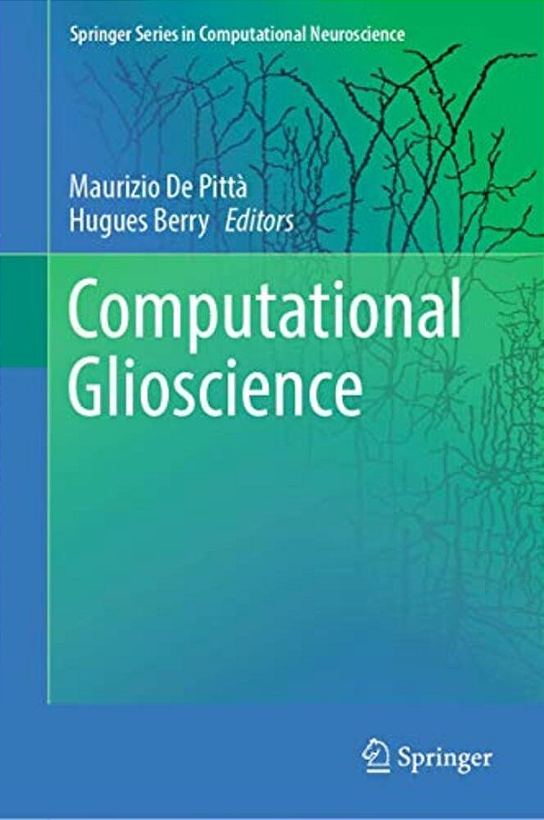 Computational Glioscience-..