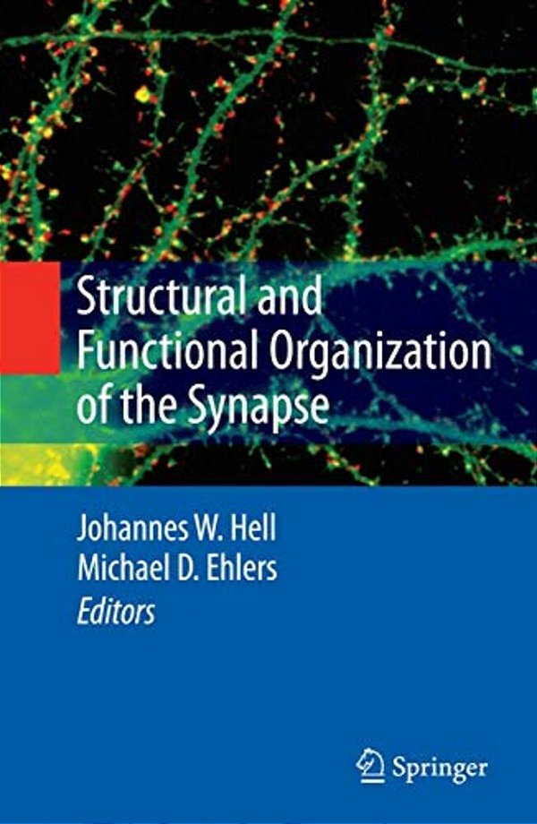 Structural And Functional Organization Of The Synapse-..