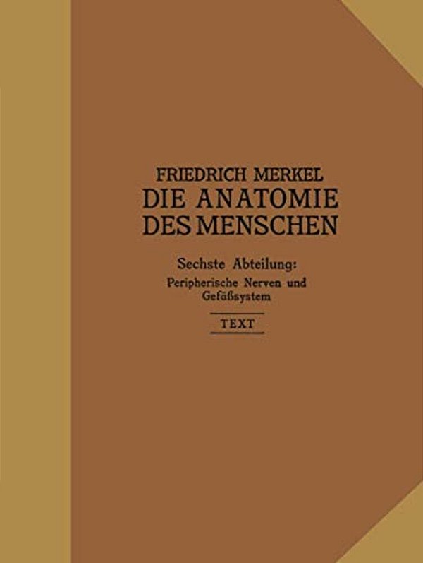 Peripherische Nerven, Gefäßsystem: Inhalt Der Körperhöhlen-..