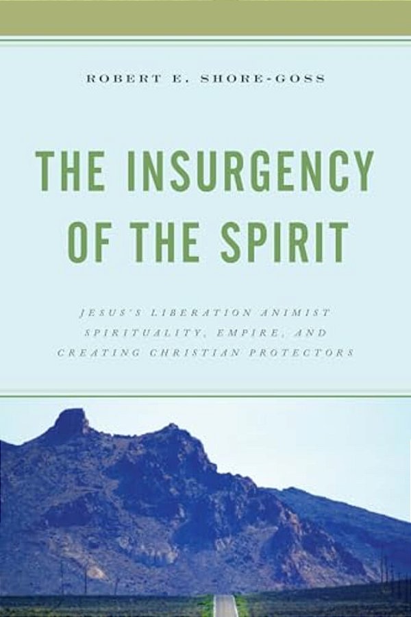 The Insurgency Of The Spirit: Jesus's Liberation Animist Spirituality, Empire, And Creating Christian Protectors-..