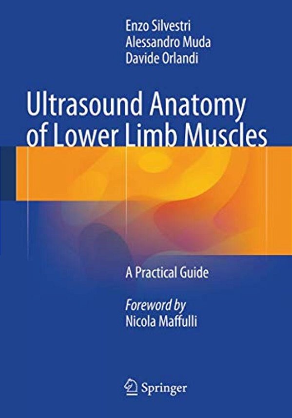 Ultrasound Anatomy Of Lower Limb Muscles: A Practical Guide-..