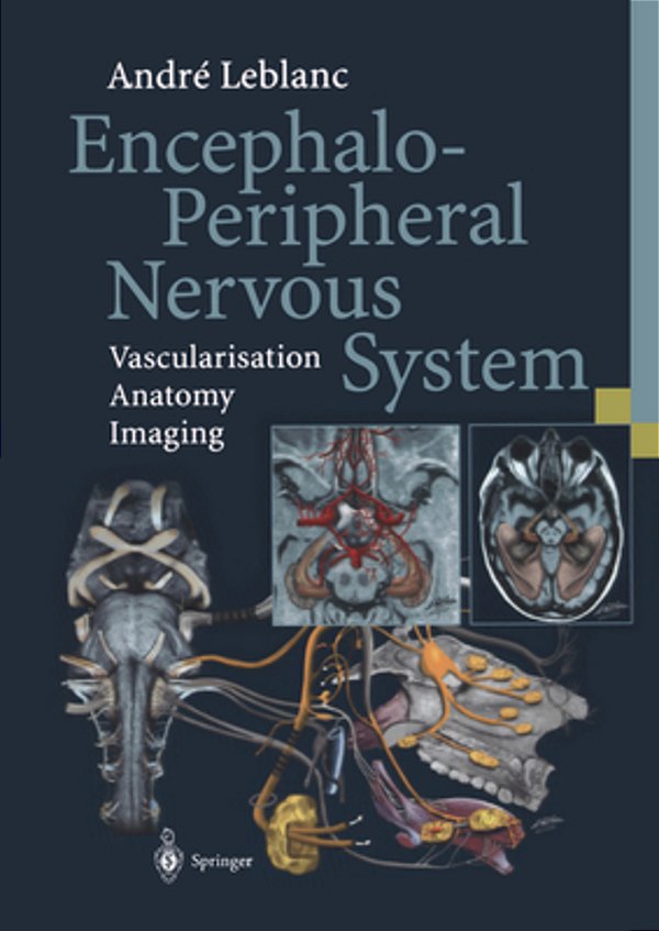 Encephalo-Peripheral Nervous System: Vascularisation Anatomy Imaging-..