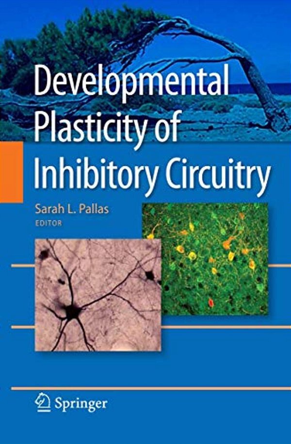 Developmental Plasticity Of Inhibitory Circuitry-..