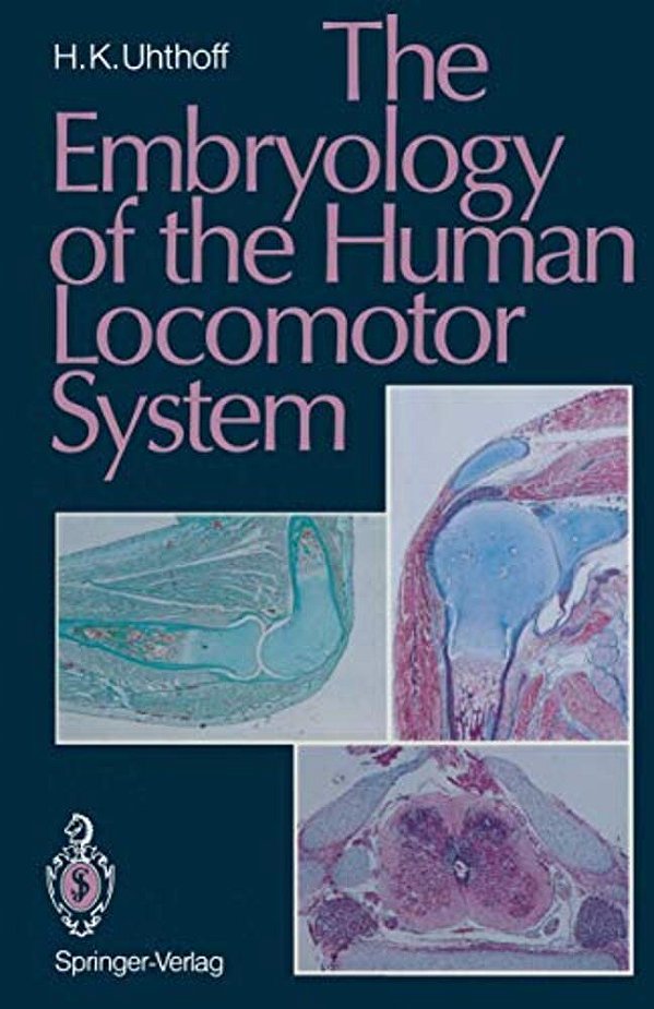 The Embryology Of The Human Locomotor System-..