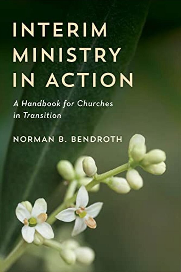 Interim Ministry In Action: A Handbook For Churches In Transition-..