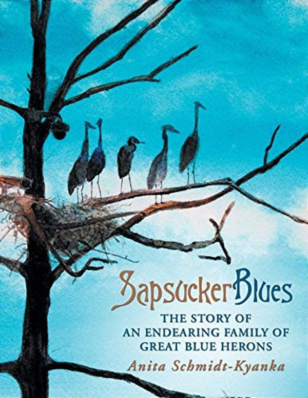 Sapsucker Blues: The Story Of An Endearing Family Of Great Blue Herons-..