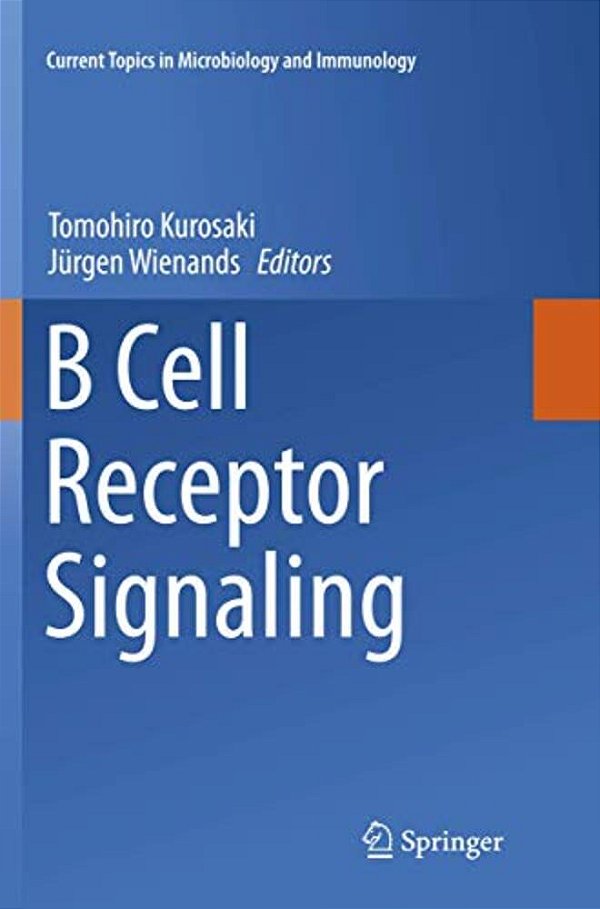 B Cell Receptor Signaling-..