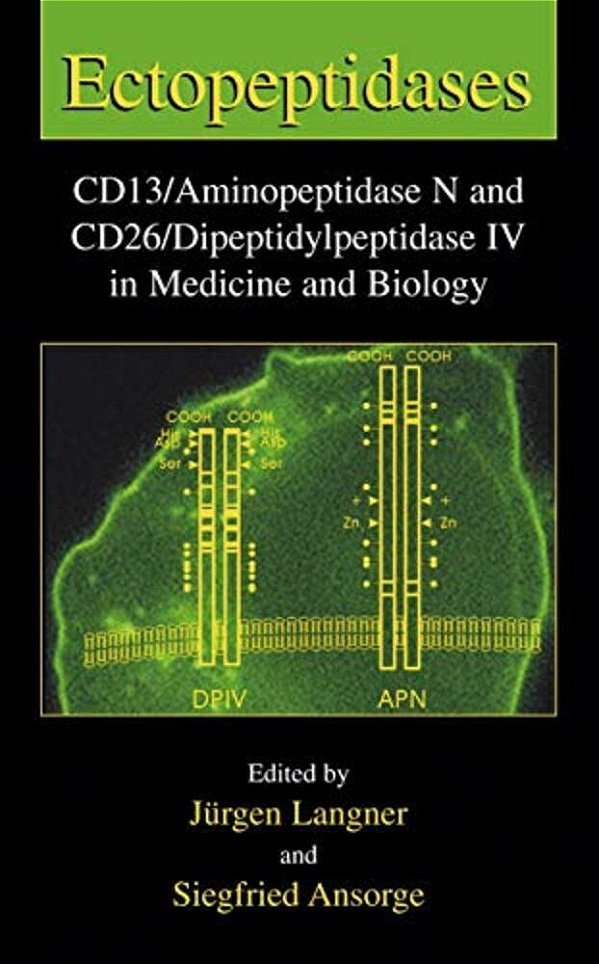Ectopeptidases: Cd13/Aminopeptidase N And Cd26/Dipeptidylpeptidase IV In Medicine And Biology-..