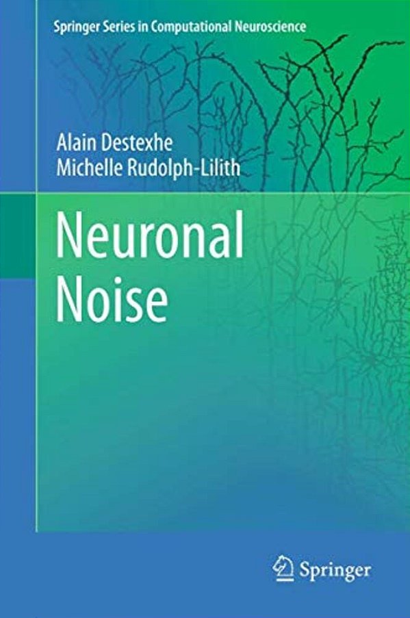 Neuronal Noise-..