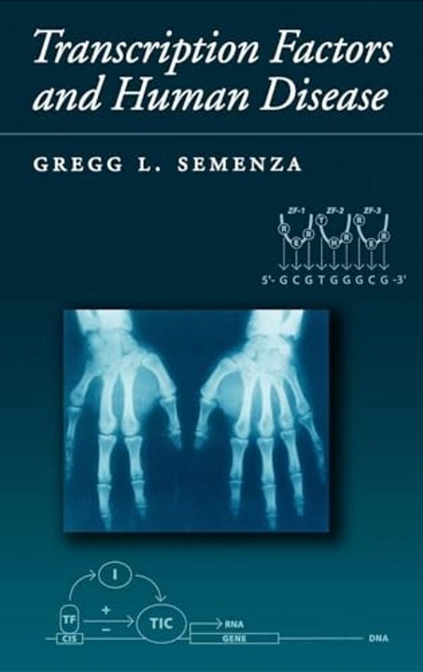 Transcription Factors And Human Genetic Disease-..