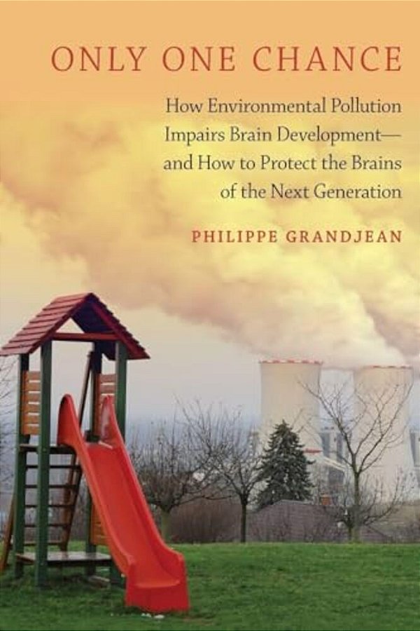 Only One Chance: How Environmental Pollution Impairs Brain Development -- And How To Protect The Brains Of The Next Generation-..