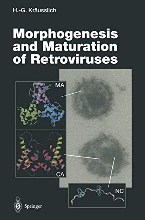 Morphogenesis And Maturation Of Retroviruses-..