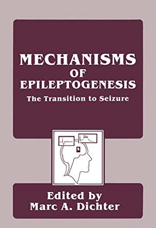 Mechanisms Of Epileptogenesis: The Transition To Seizure-..