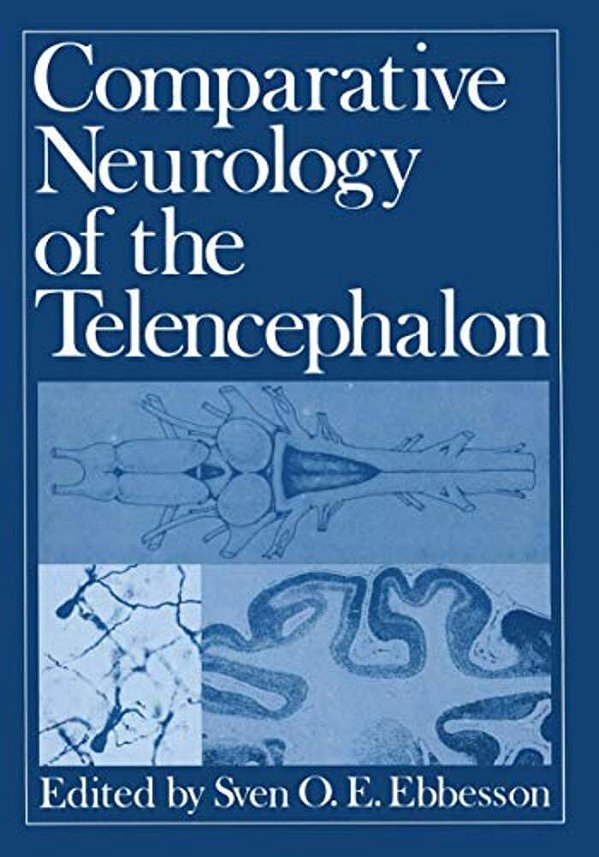 Comparative Neurology Of The Telencephalon-..