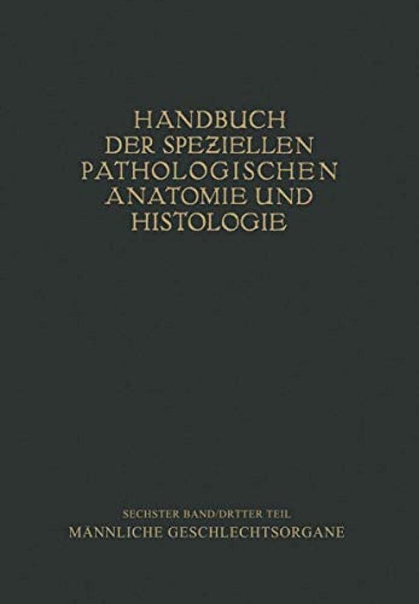 Harnorgane Männliche Geschlechtsorgane-..