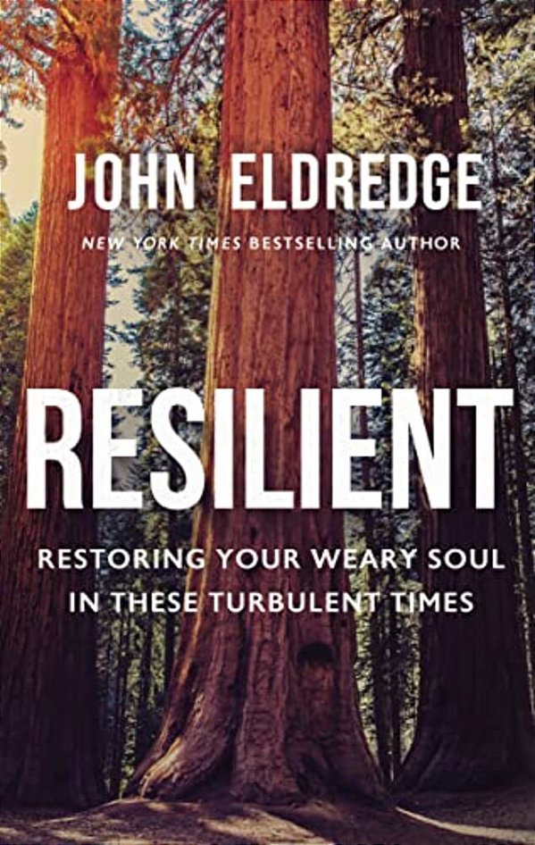 Resilient: Restoring Your Weary Soul In These Turbulent Times-..