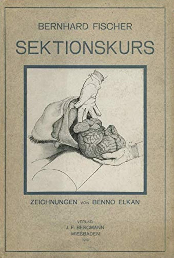 Der Sektionskurs, Kurze Anleitung Zur Pathologisch-Anatomischen Untersuchung Menschlicher Leichen-..