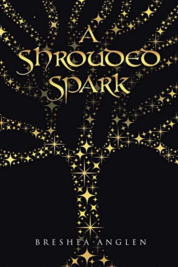 A Shrouded Spark-..