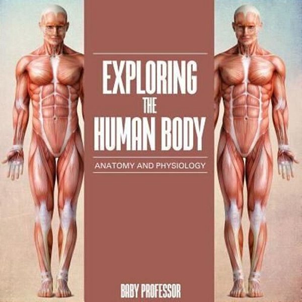 Exploring The Human Body Anatomy And Physiology-..
