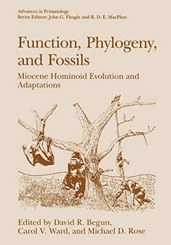 Function, Phylogeny, And Fossils: Miocene Hominoid Evolution And Adaptations-..