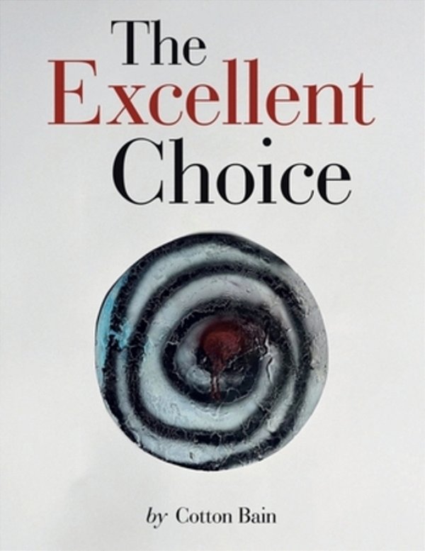 The Excellent Choice-..